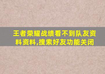 王者荣耀战绩看不到队友资料资料,搜索好友功能关闭