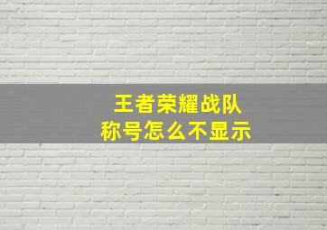 王者荣耀战队称号怎么不显示