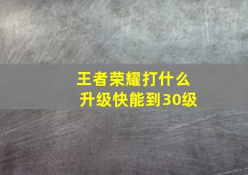 王者荣耀打什么升级快能到30级