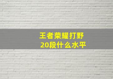 王者荣耀打野20段什么水平