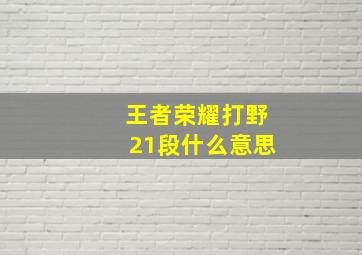 王者荣耀打野21段什么意思