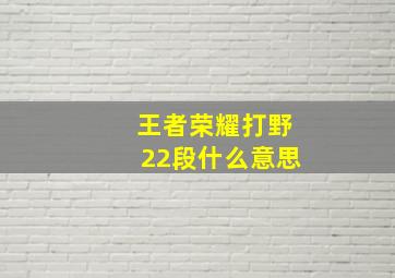 王者荣耀打野22段什么意思