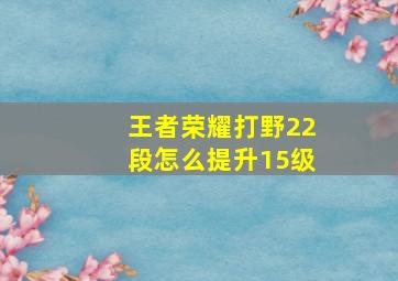 王者荣耀打野22段怎么提升15级