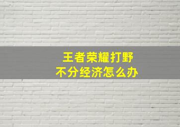 王者荣耀打野不分经济怎么办