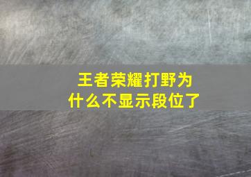 王者荣耀打野为什么不显示段位了