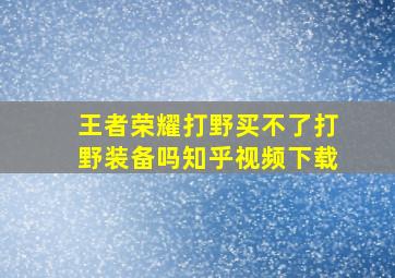 王者荣耀打野买不了打野装备吗知乎视频下载