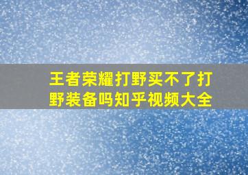 王者荣耀打野买不了打野装备吗知乎视频大全