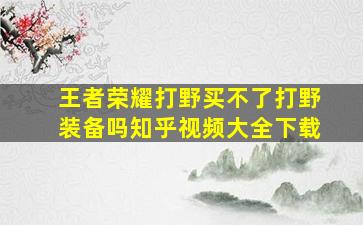 王者荣耀打野买不了打野装备吗知乎视频大全下载