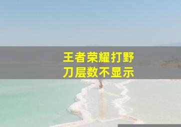 王者荣耀打野刀层数不显示