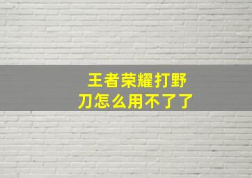 王者荣耀打野刀怎么用不了了