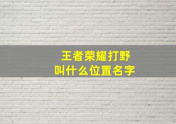 王者荣耀打野叫什么位置名字