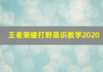 王者荣耀打野意识教学2020