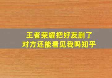 王者荣耀把好友删了对方还能看见我吗知乎