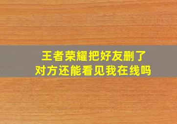 王者荣耀把好友删了对方还能看见我在线吗