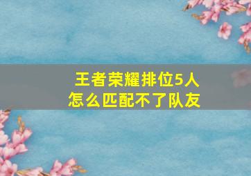 王者荣耀排位5人怎么匹配不了队友