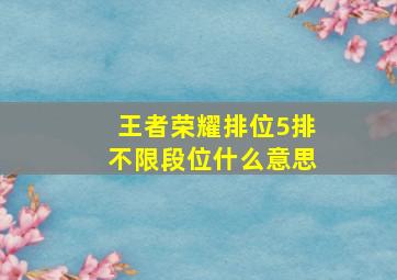 王者荣耀排位5排不限段位什么意思