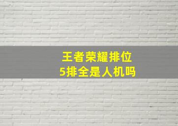 王者荣耀排位5排全是人机吗