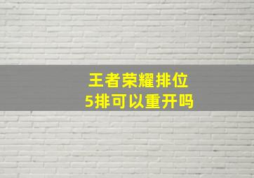 王者荣耀排位5排可以重开吗