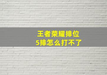 王者荣耀排位5排怎么打不了