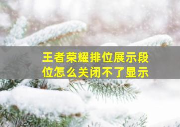 王者荣耀排位展示段位怎么关闭不了显示