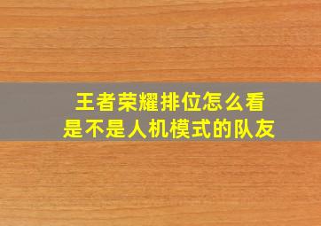 王者荣耀排位怎么看是不是人机模式的队友