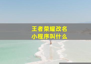 王者荣耀改名小程序叫什么