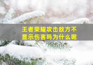 王者荣耀攻击敌方不显示伤害吗为什么呢