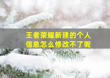 王者荣耀新建的个人信息怎么修改不了呢