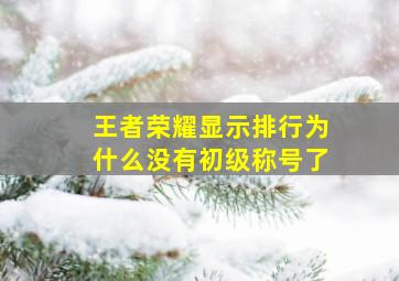 王者荣耀显示排行为什么没有初级称号了