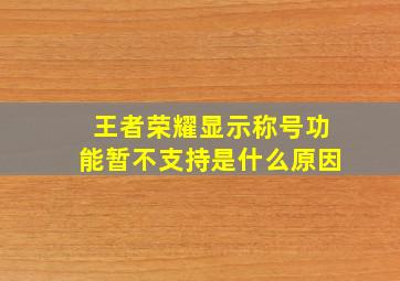 王者荣耀显示称号功能暂不支持是什么原因