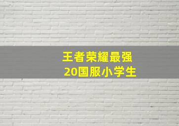 王者荣耀最强20国服小学生