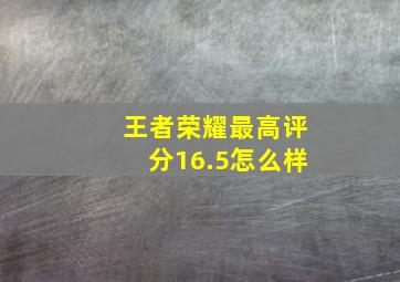 王者荣耀最高评分16.5怎么样