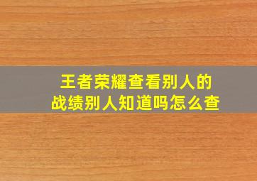 王者荣耀查看别人的战绩别人知道吗怎么查