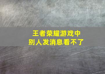 王者荣耀游戏中别人发消息看不了