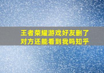 王者荣耀游戏好友删了对方还能看到我吗知乎