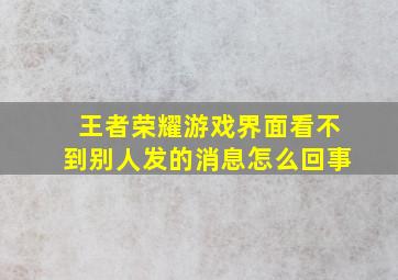 王者荣耀游戏界面看不到别人发的消息怎么回事