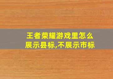 王者荣耀游戏里怎么展示县标,不展示市标