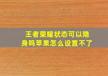 王者荣耀状态可以隐身吗苹果怎么设置不了