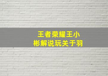 王者荣耀王小彬解说玩关于羽