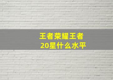 王者荣耀王者20星什么水平