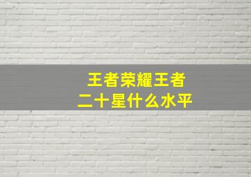 王者荣耀王者二十星什么水平