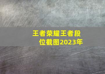 王者荣耀王者段位截图2023年