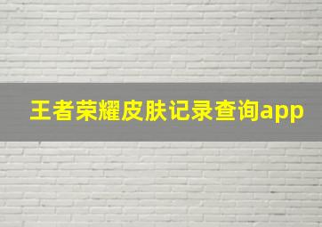 王者荣耀皮肤记录查询app