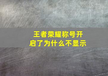 王者荣耀称号开启了为什么不显示