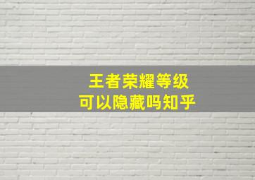 王者荣耀等级可以隐藏吗知乎