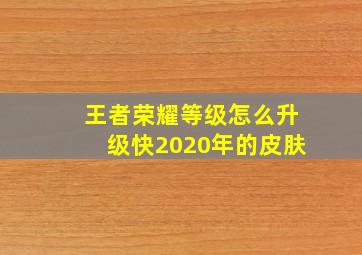 王者荣耀等级怎么升级快2020年的皮肤