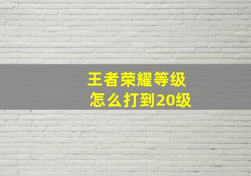 王者荣耀等级怎么打到20级