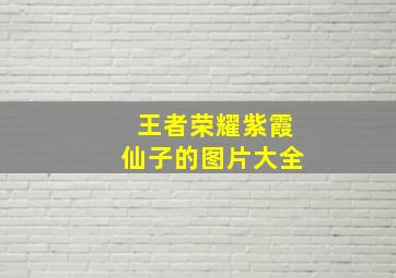 王者荣耀紫霞仙子的图片大全