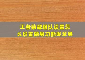 王者荣耀组队设置怎么设置隐身功能呢苹果