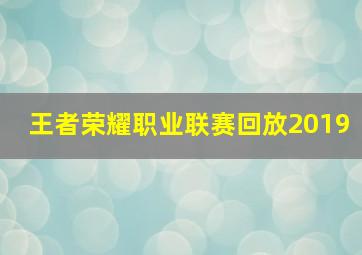 王者荣耀职业联赛回放2019